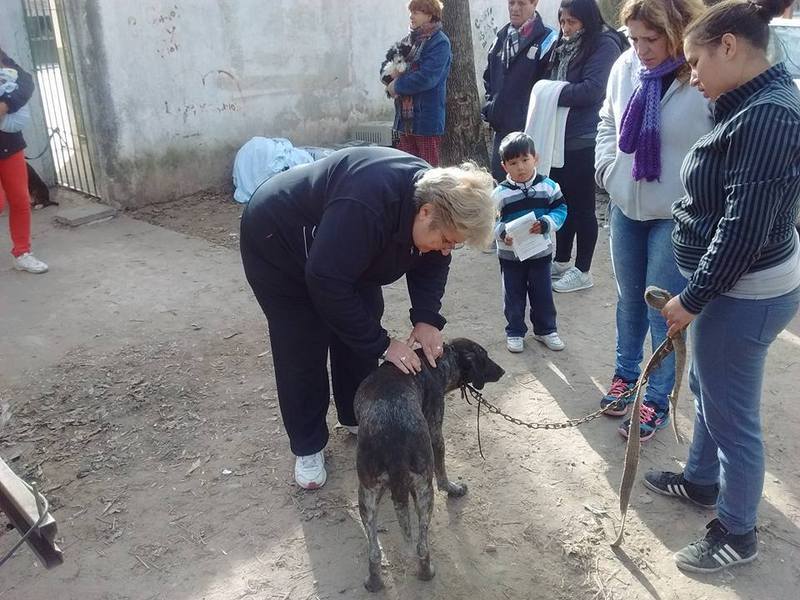 Se entregaron 60 turnos en el d&iacute;a de hoy