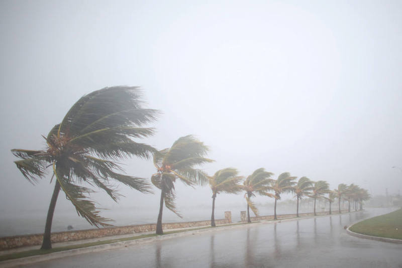 El Hurac&aacute;n Irma azot&oacute; a Miami