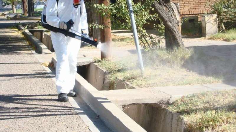 La fumigaci&oacute;n por los barrios de la ciudad