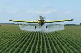 Preocupaci&oacute;n sobre el impacto del uso de herbicida en la regi&oacute;n