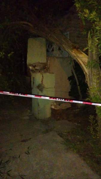 Uno de los &aacute;rboles ca&iacute;dos en Baigorria