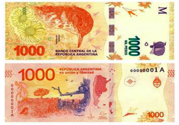 Billetes falsificados de mil pesos