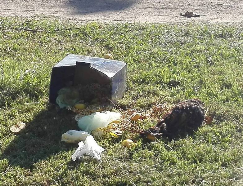 Los elementos encontrados frente a Obras Sanirarias Los elementos encontrados frente a Obras Sanirarias