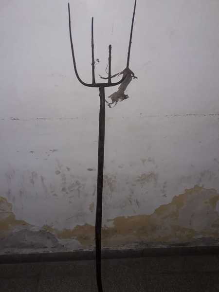 Uno de los elementos secuestrados Uno de los elementos secuestrados