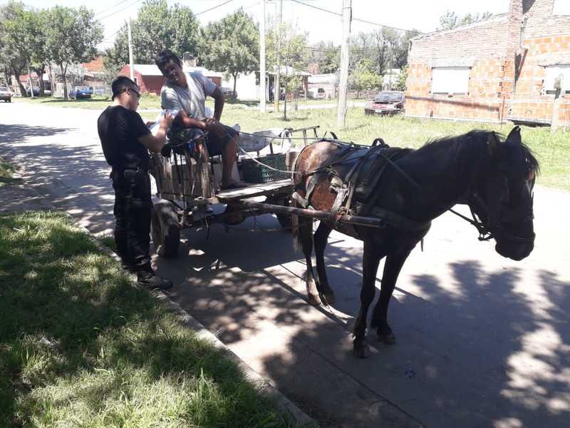 Uno de los carros controlados