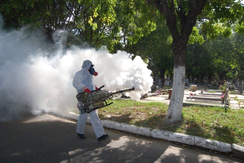 La fumigación como factor de prevención