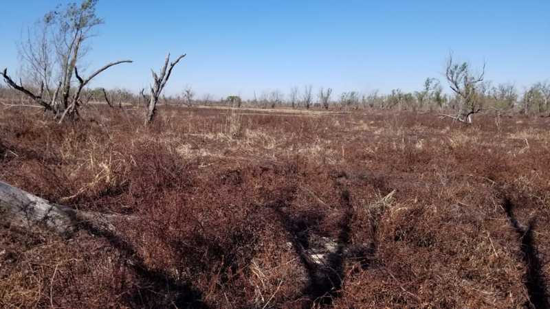 Un panorama desolador