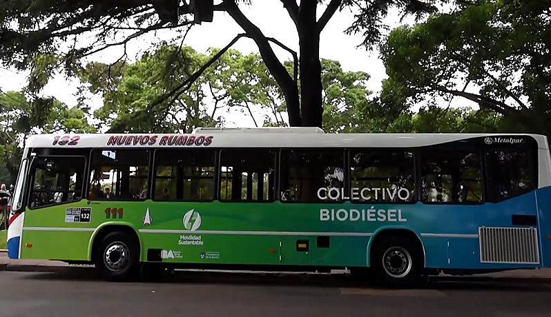 Colectivos ecol&oacute;gicos