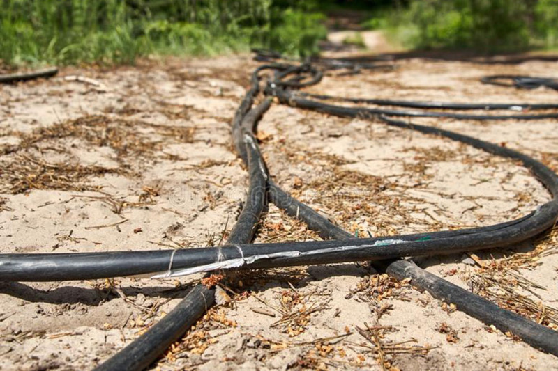 Cables pelados