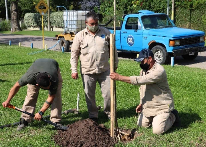 Imagen de Baigorria participa de la campa&ntilde;a nacional para plantar 1.000.000 de &aacute;rboles