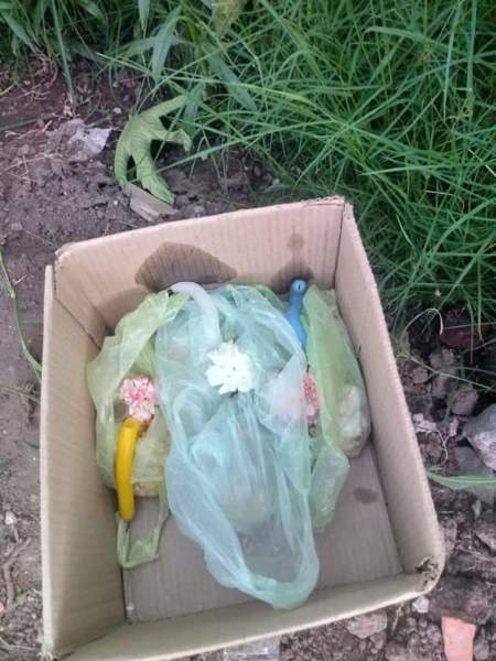 Nuevas apariciones en la ciudad