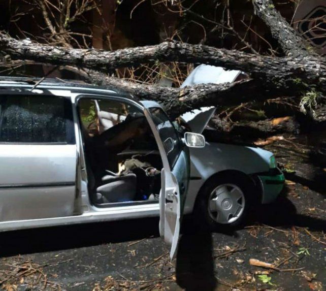 Las consecuencias de la tormenta