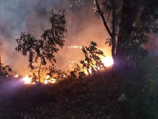 El incendio en la empresa bermudence