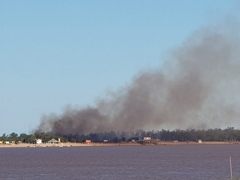 El grave impacto de los incendios en las islas