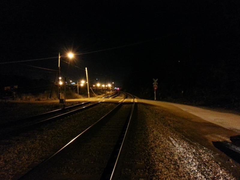 Les gusta estar al costado del camino