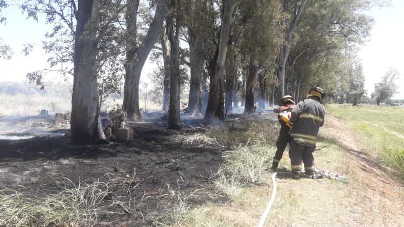 El siniestro ocurri&oacute; hoy al mediod&iacute;a