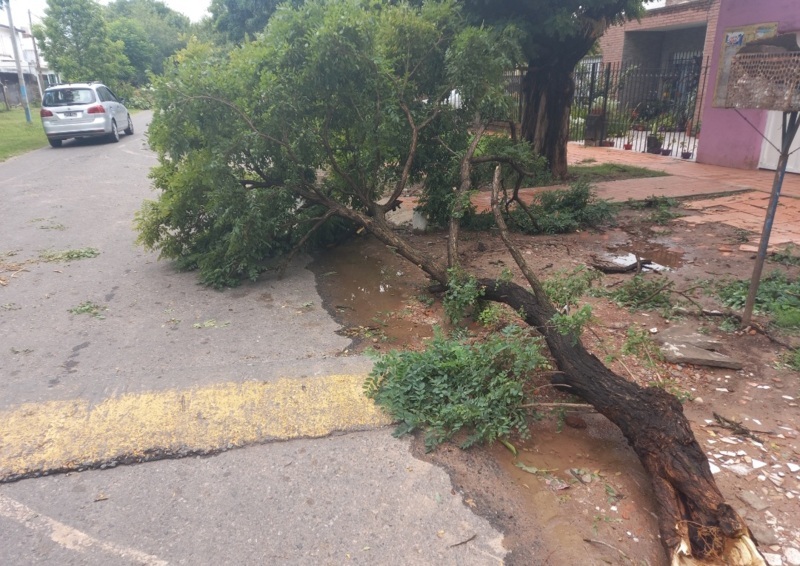 Efectos de la tormenta