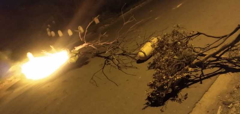 Los elementos encontrados en la calle