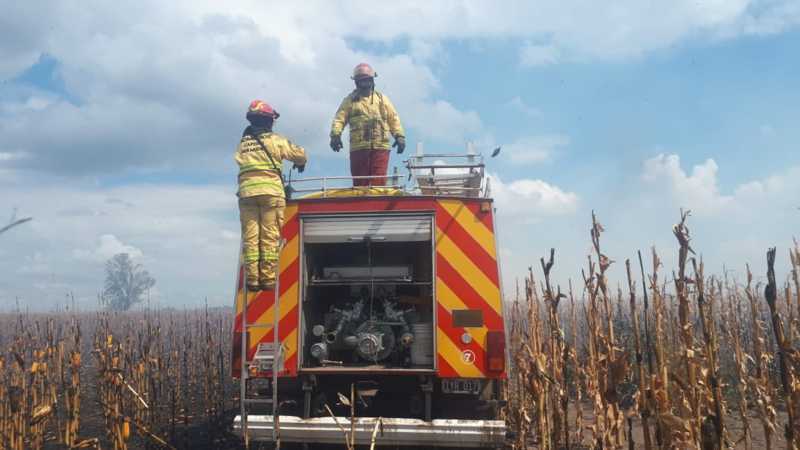 Los Bomberos Voluntarios trabajaron en el lugar