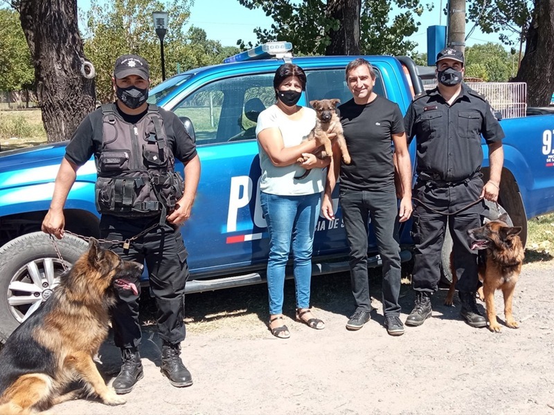 Los perros con las autoridades