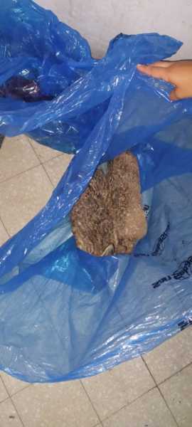 Los elementos secuestrados