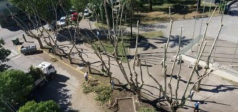 As&iacute; qued&oacute; una plaza en la ciudad