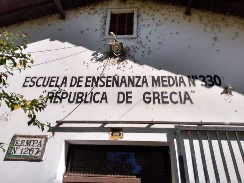 El colegio secundario