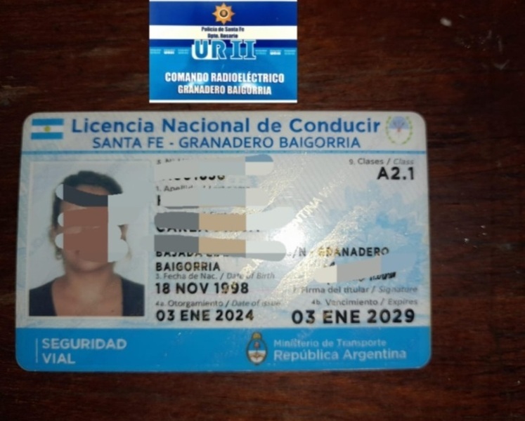 El carnet trucho