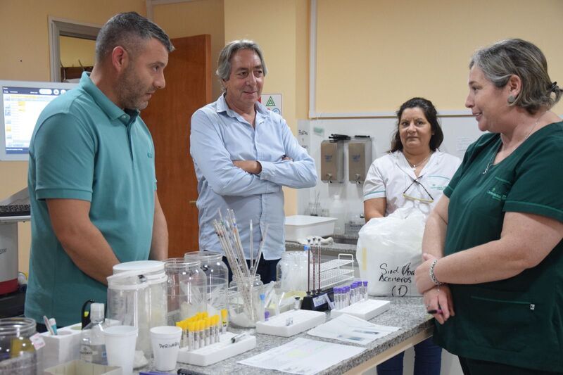 Crecimiento