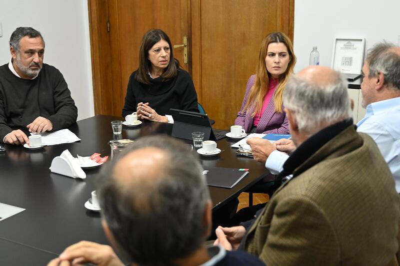 La presidenta de la C&aacute;mara de Diputados