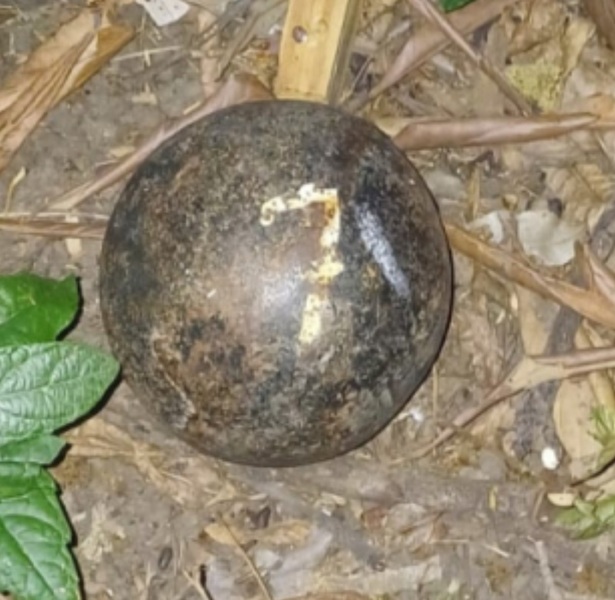El elemento secuestrado El elemento secuestrado