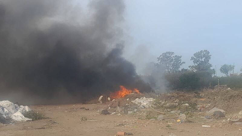 El incendio en el predio