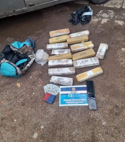 Los elementos secuestrados Los elementos secuestrados