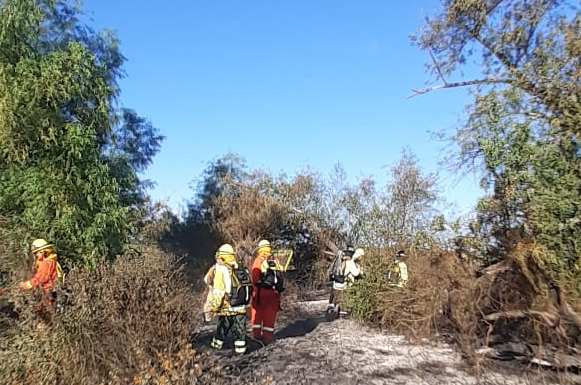 Los voluntarios en la isla