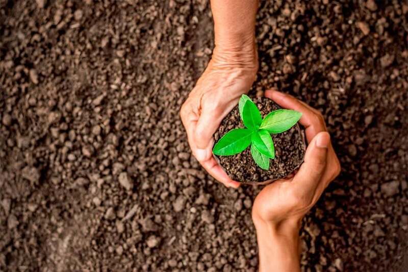 Medio Ambiente sustentable