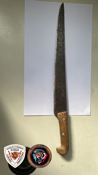 El arma secuestrada