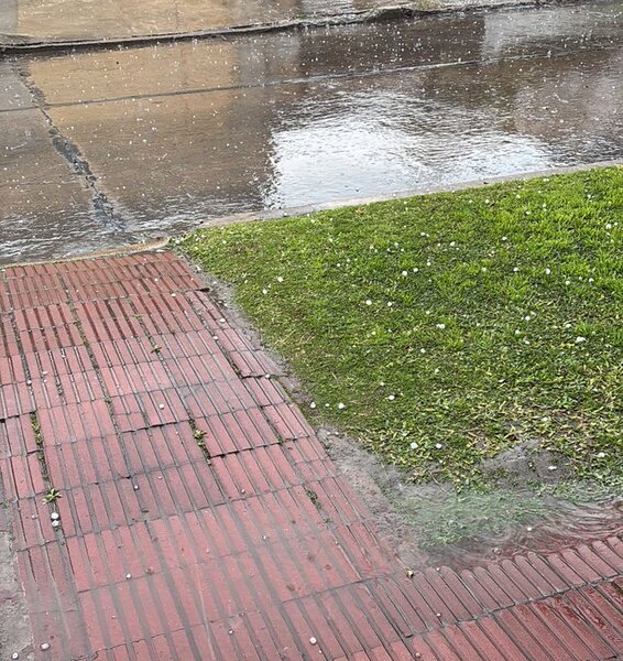 Piedras de pequeño tamaño