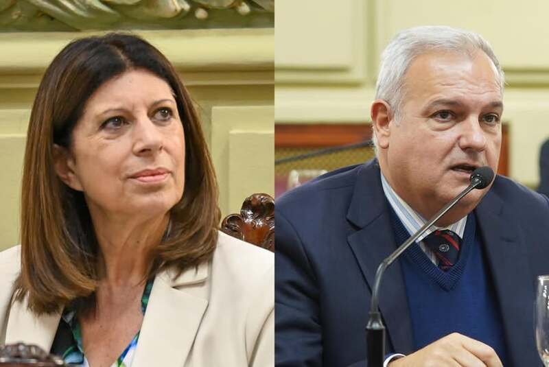 La presidenta de la C&aacute;mara de Diputados