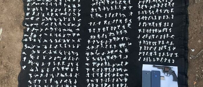 Los elementos secuestrados