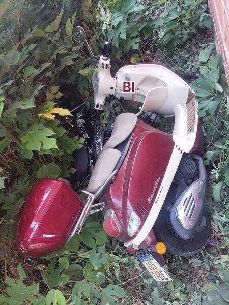 Los veh&iacute;culos encontrados