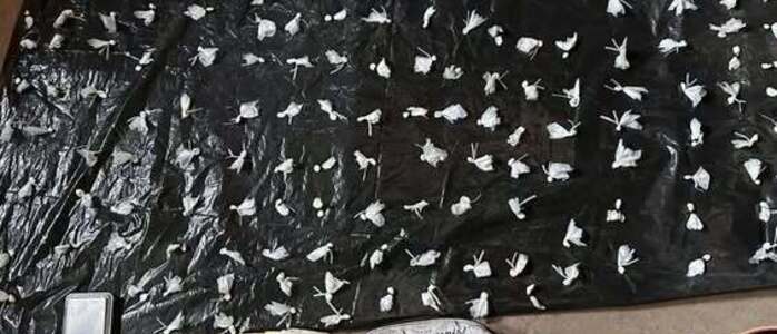 Los elementos secuestrados