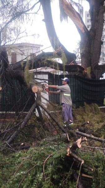 Los trabajos se multiplicaron