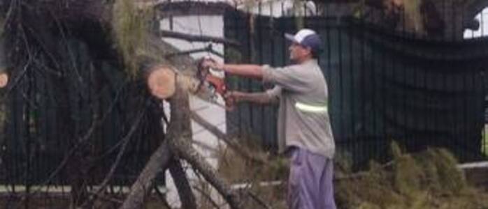 Los trabajos se multiplicaron