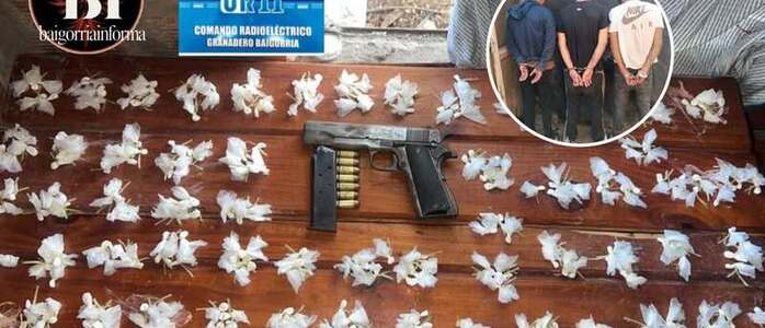 Los elementos secuestrados