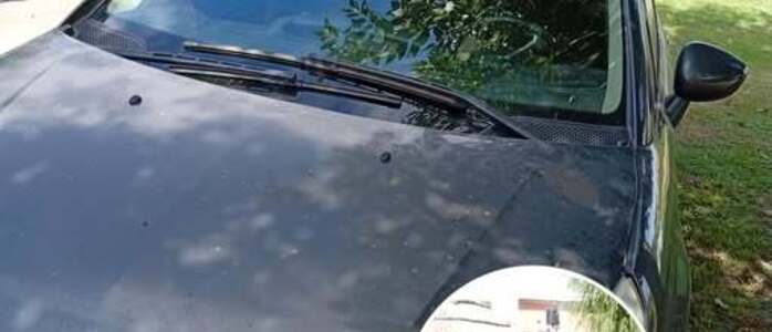 El veh&iacute;culo atacado