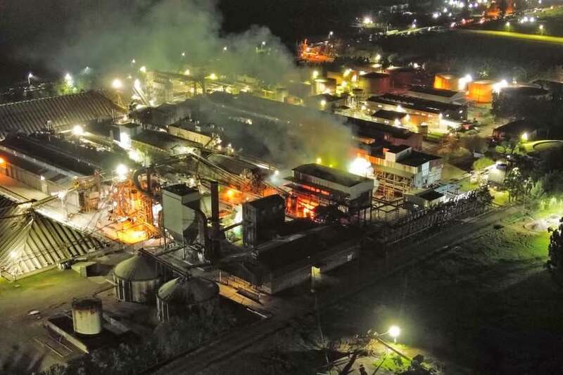 La planta incendiada