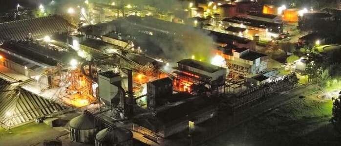 La planta incendiada