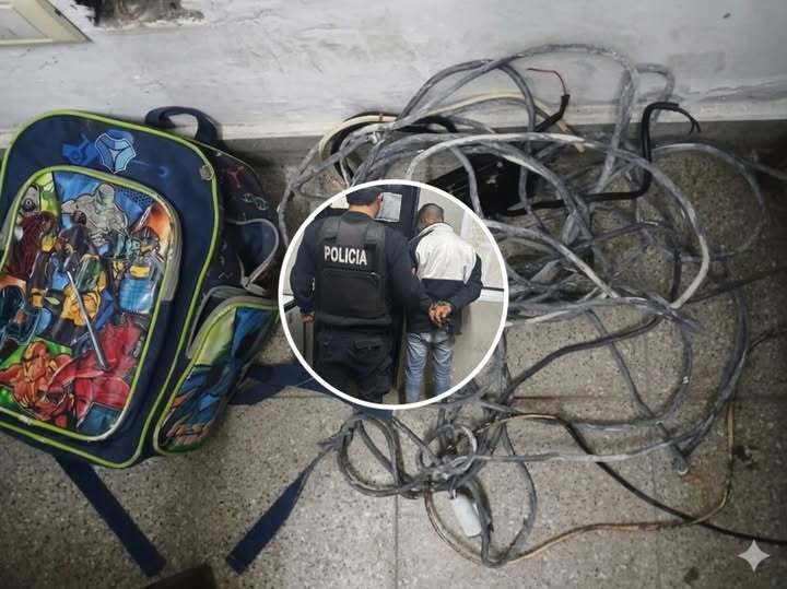 Los elementos secuestrados
