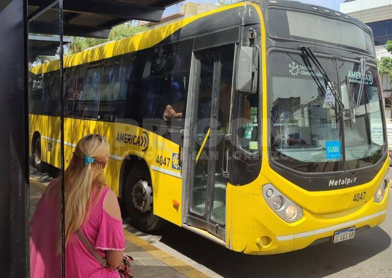 Un lujo viajar en colectivo