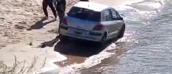 El auto  aorillas del rio